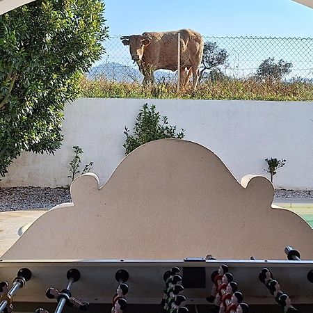 Portela Guesthouse Cercal do Alentejo Eksteriør billede