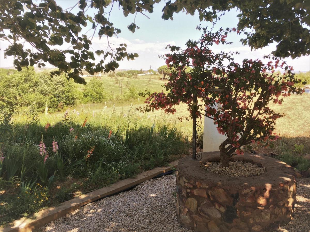 Portela Guesthouse Cercal do Alentejo Eksteriør billede