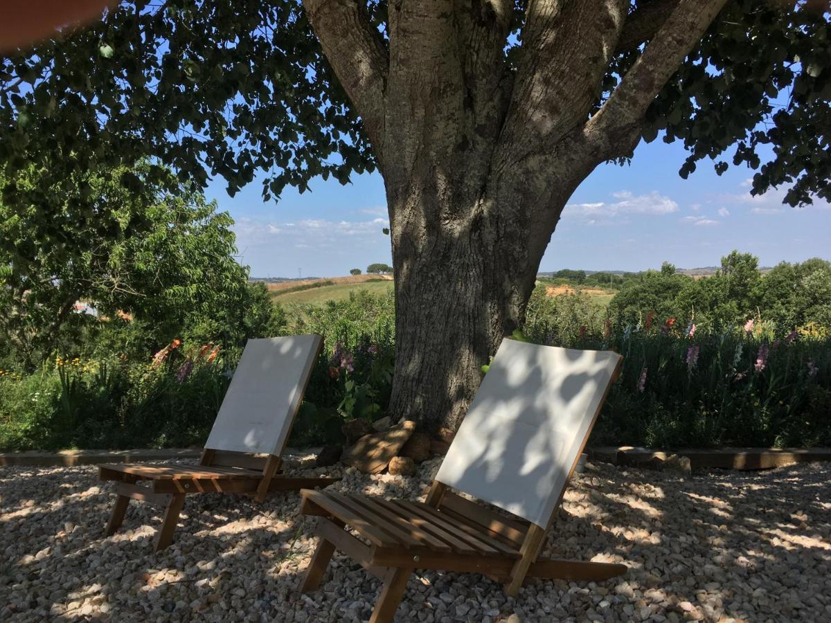 Portela Guesthouse Cercal do Alentejo Eksteriør billede