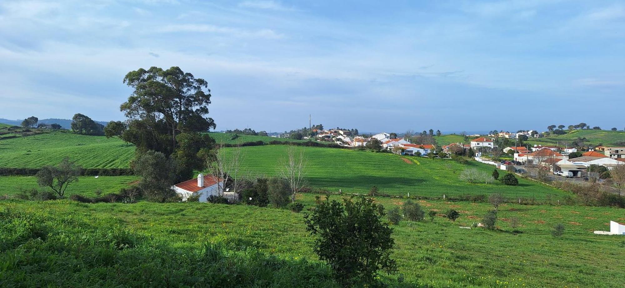Portela Guesthouse Cercal do Alentejo Eksteriør billede