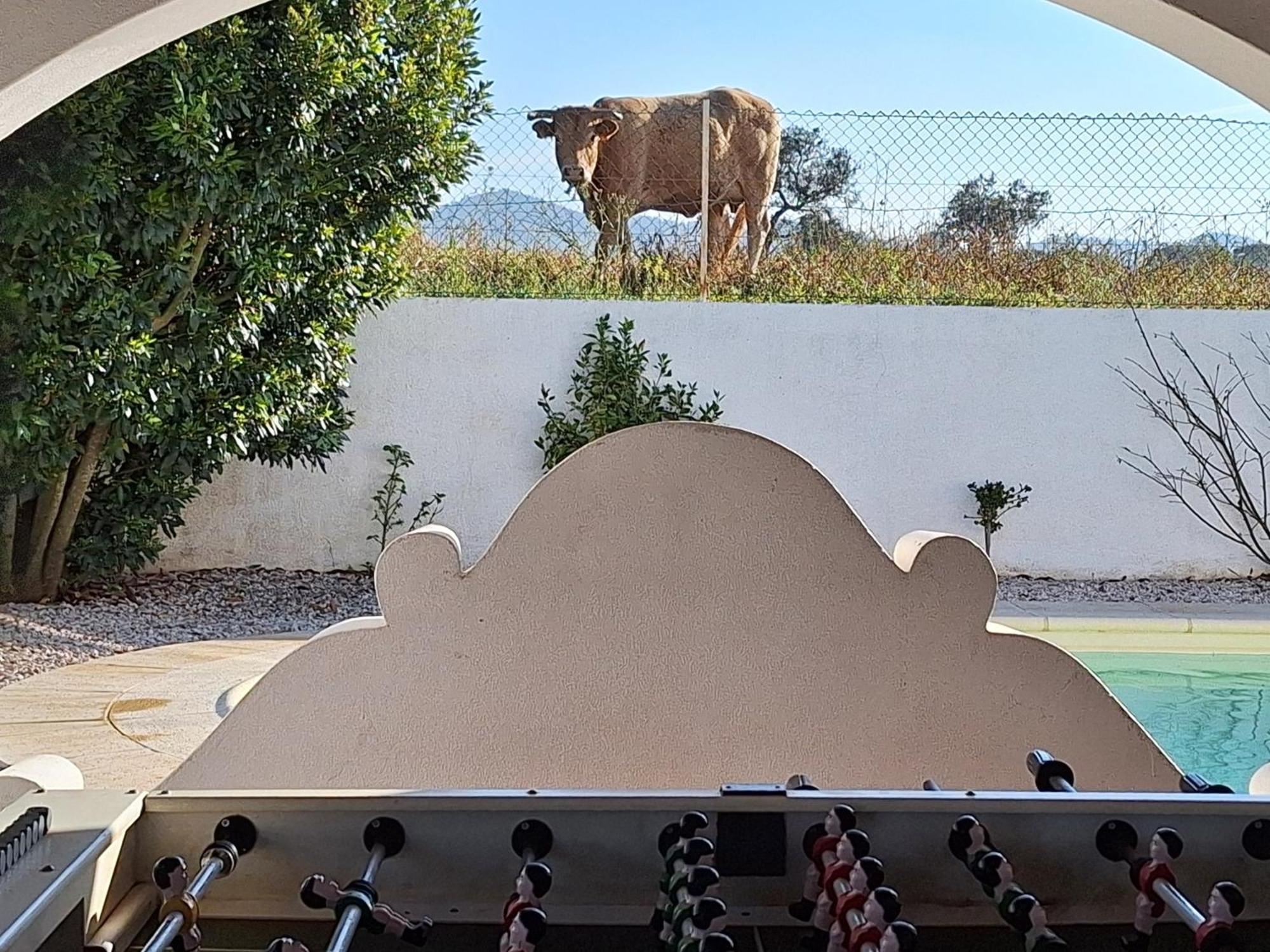 Portela Guesthouse Cercal do Alentejo Eksteriør billede