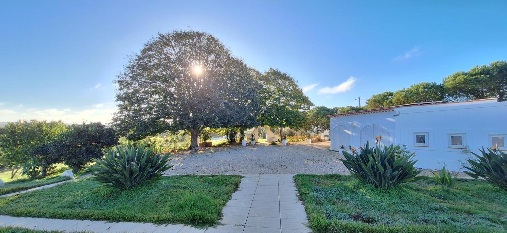 Portela Guesthouse Cercal do Alentejo Eksteriør billede